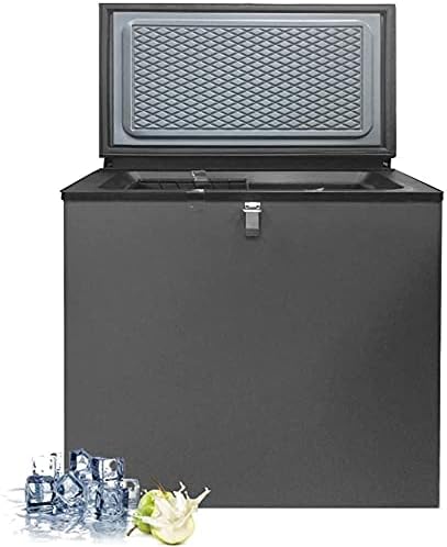 Smad Congélateur à Gaz, 200L, Congélateur Camping, Gaz/220V, Congélateur Silencieux