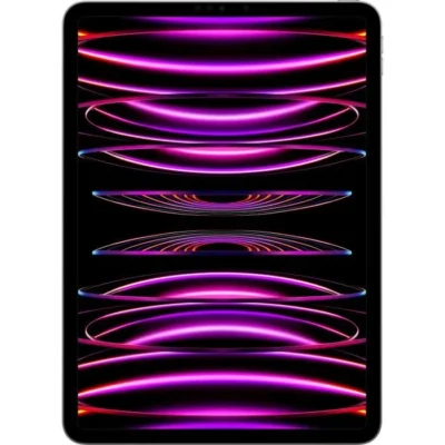 Apple -Pro iPad  (2022) – 11&Prime; – WiFi + Cellular – 2 To – Gris Sidéral