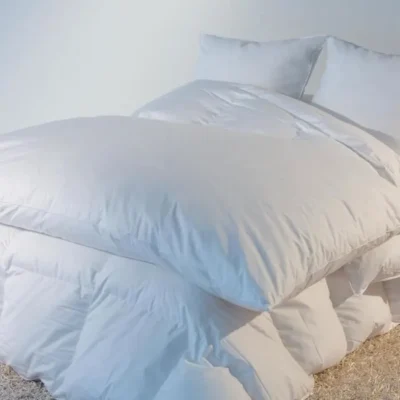 Édredon naturel Eco Castex – 200x170cm blanc 30% duvet