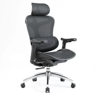 SIHOO Doro C300 Chaise de Bureau Ergonomique avec Soutien Lombaire Dynamique,Accoudoirs et Dossier Réglables 3